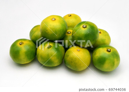 Mandarin orange (Ninan No. 1) 69744036