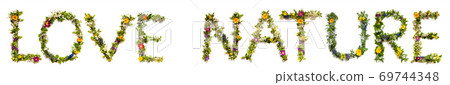 Flower And Blossom Letter Building Word Love Nature 69744348