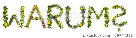 Flower And Blossom Letter Building Word Warum Means Why 69744351