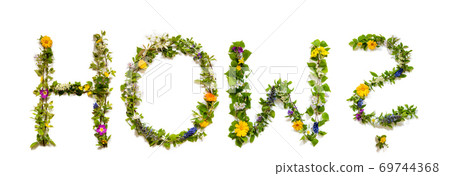 Flower And Blossom Letter Building Word How Flower And Blossom Letter Building Word How 69744368