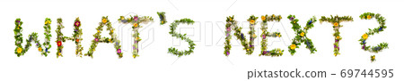 Flower And Blossom Letter Building Word Whats Next 69744595