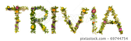 Flower And Blossom Letter Building Word Trivia 69744754