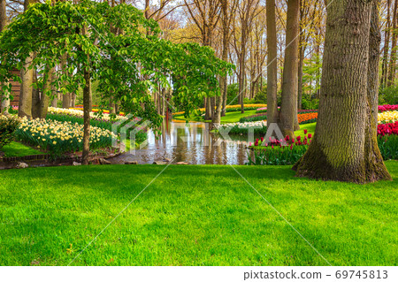 Majestic colorful fresh tulips in famous Keukenhof park, Netherlands, Europe 69745813