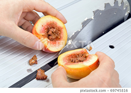nectarine cut into half nectarine cut into half 69745816