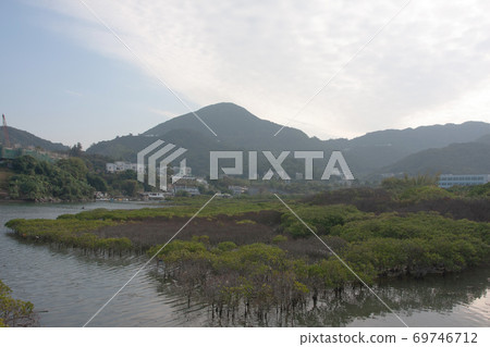 1 Dec 2007 the wetland of Nam Wai, sai kung 1 Dec 2007 the wetland of Nam Wai, sai kung 69746712