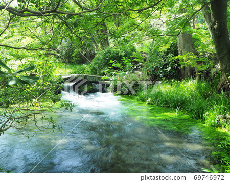 Scenery of Rakujuen in Shizuoka Prefecture September 69746972
