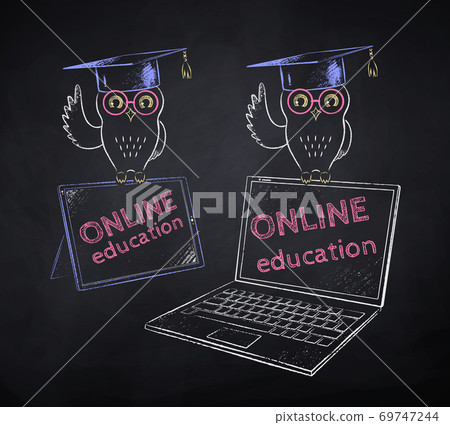 Owl in mortarboard sitting on tablet 69747244