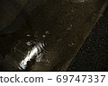 在一個雨夜的水坑 69747337