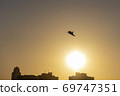 日落和海鳥 69747351