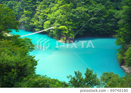 Dream Suspension Bridge, Sumata Gorge, Kawanehon Town, Shizuoka Prefecture, Japan 69748180