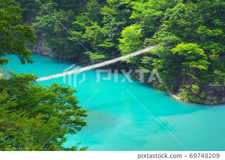Dream Suspension Bridge, Sumata Gorge, Kawanehon Town, Shizuoka Prefecture, Japan Dream Suspension Bridge, Sumata Gorge, Kawanehon Town, Shizuoka Prefecture, Japan 69748209