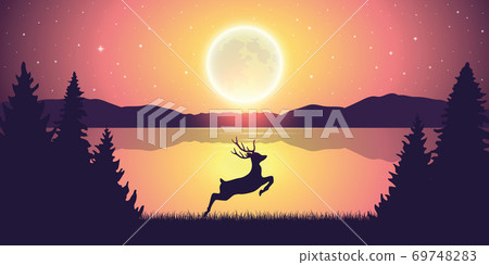 jumping deer in the nature by the lake at moon light jumping deer in the nature by the lake at moon light 69748283