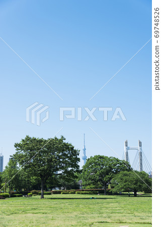 Sunny park scenery 69748526