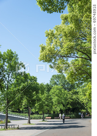 陽光公園風光 69748918