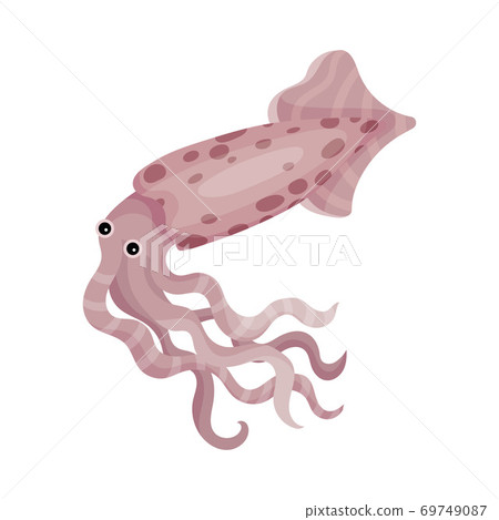 Funny Squid with Tentacles as Marine Animal... - Stock Illustration  [69749087] - PIXTA