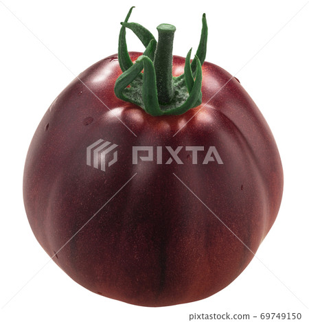 Blue Pear heirloom tomato, anthocyanin-rich,  isolated 69749150