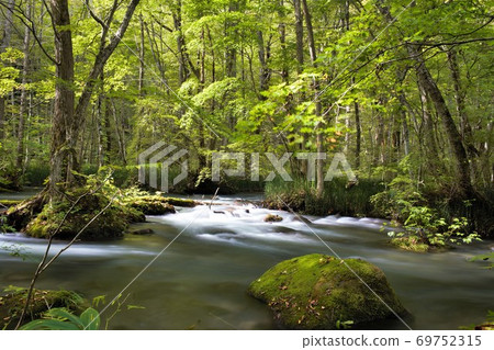 奧入瀨峽谷,陽光,三然流 奧入瀨峽谷,陽光,三然流 69752315