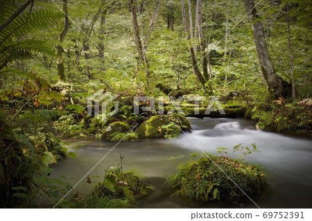 奧入瀨峽谷（Oirase Gorge），陽光直射的山間小溪，三道湍流 69752391