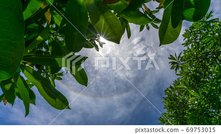 Natural halo around the sun in the sky Natural halo around the sun in the sky 69753015