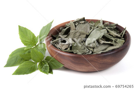 Dry basil leaves in wooden bowl and fresh basal Stock Photo