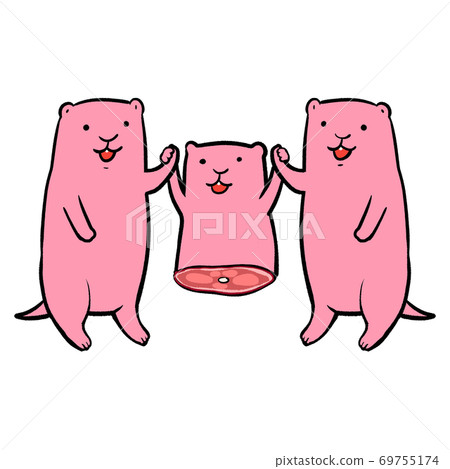 冷凍的老鼠和他們的朋友(微笑,寵物繁殖,蛇,貓頭鷹,狐狸,蜥蜴)成為爬行動物和猛禽的食物 冷凍的老鼠和他們的朋友(微笑,寵物繁殖,蛇,貓頭鷹,狐狸,蜥蜴)成為爬行動物和猛禽的食物 69755174