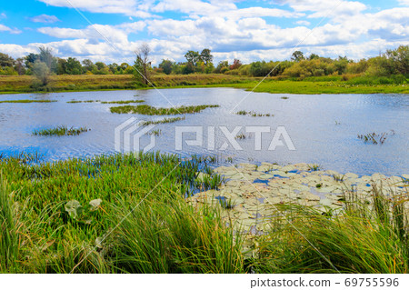Summer landscape with beautiful river, green trees and blue sky 69755596