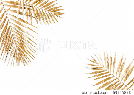 Gold tropical palm leaves on white background. Flat lay, top view minimal concept. 69755858
