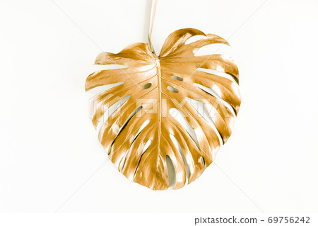 Gold tropical palm leaves Monstera on white background. Flat lay, top view minimal concept. Gold tropical palm leaves Monstera on white background. Flat lay, top view minimal concept. 69756242