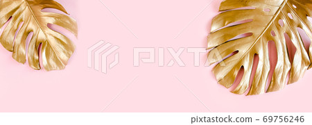 Gold tropical palm leaves Monstera on pink background. Flat lay, top view minimal concept. 69756246