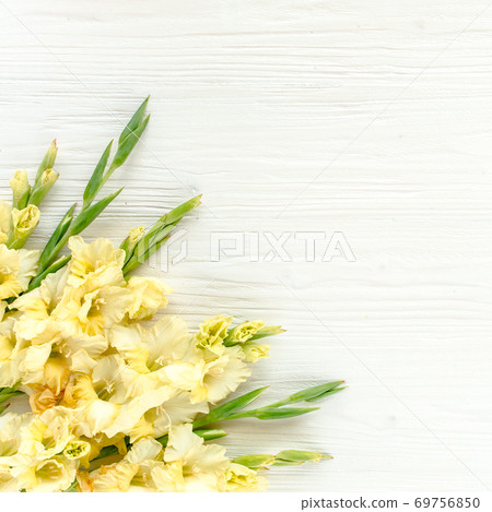 yellow gladioluses on wooden white background. Floral pattern of gladioli holiday greeting card. Flat lay, top view. Frame of flowers. Flowers texture yellow gladioluses on wooden white background. Floral pattern of gladioli holiday greeting card. Flat lay, top view. Frame of flowers. Flowers texture 69756850