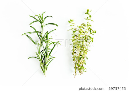 Green branch of rosemary and thyme, eucalyptus leaves isolated on a white background. Flat lay. Top view 69757453