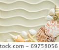 Clams and starfishes on the sea sand 69758056