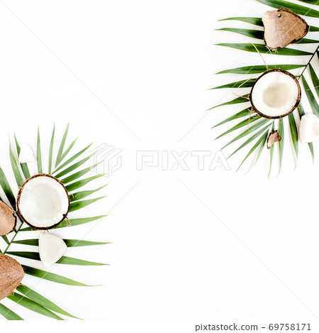 Tropical green palm leaf and cracked coconut on white background. Nature concept. flat lay, top view 69758171