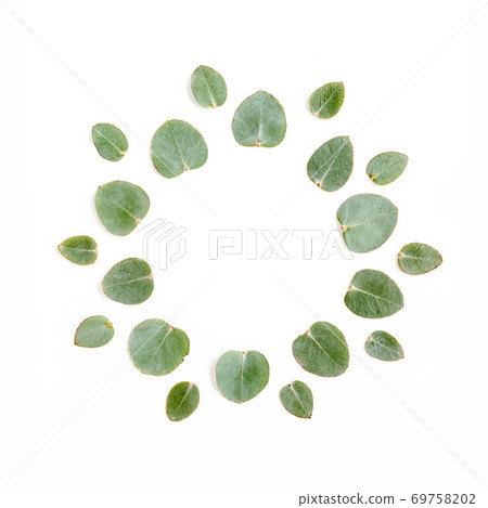 Abstract composition. Round wreath frame made of leaf eucalyptus isolated on white background. lay flat, top view 69758202