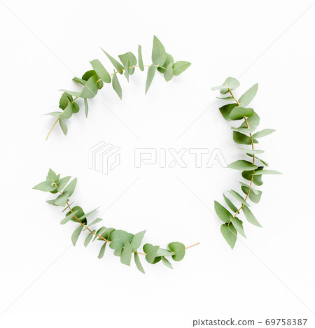 Wreath frame made of branches eucalyptus isolated on white background. lay flat, top view Wreath frame made of branches eucalyptus isolated on white background. lay flat, top view 69758387
