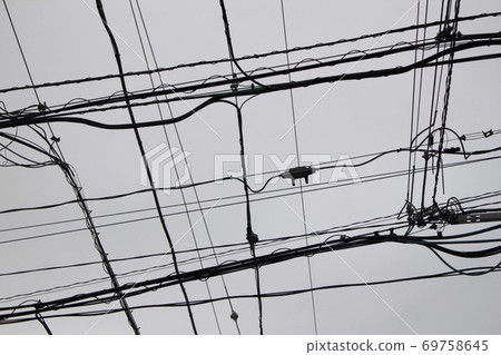 Monochrome photo of many intersecting power lines Monochrome photo of many intersecting power lines 69758645