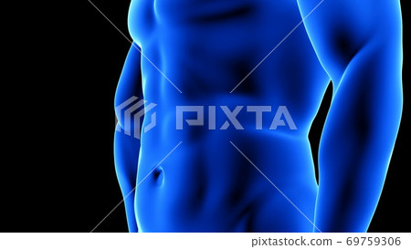 male fitness body transformation, abdominal muscles detail - muscle mass building illustration on black background male fitness body transformation, abdominal muscles detail - muscle mass building illustration on black background 69759306