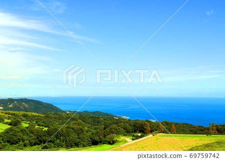 Scenery of Awaji Hanasajiki in Awaji City, Hyogo Prefecture, Flowers, Awaji, Autumn, [September] 69759742