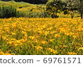 Golden needle sea 69761571