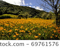 Golden needle sea 69761576