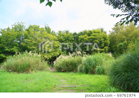 Early autumn park Susuki Hanaho 69761974