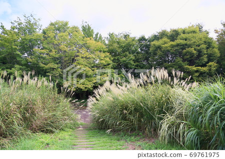 Early autumn park Susuki Hanaho Early autumn park Susuki Hanaho 69761975