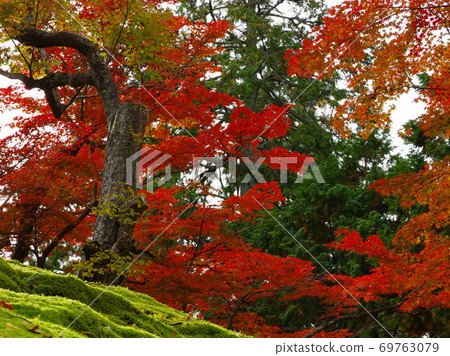 著名的秋葉京都滿水門遺址 69763079