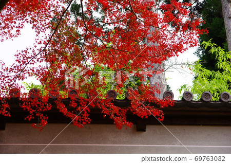 Scenic spot of autumn leaves Kyoto Manshuin Monzeki Scenic spot of autumn leaves Kyoto Manshuin Monzeki 69763082