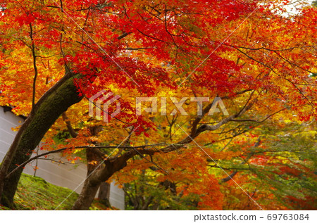 著名的秋葉京都滿水門遺址 著名的秋葉京都滿水門遺址 69763084