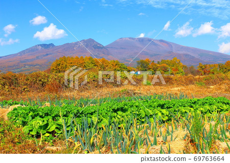 秋葉和淺間山2009年：信州的秋葉2009年：花草編織的彩色紙2009年 69763664