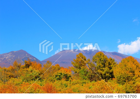 秋葉和淺間山2009年:信州的秋葉2009年:花草編織的彩色紙2009年 秋葉和淺間山2009年:信州的秋葉2009年:花草編織的彩色紙2009年 69763700