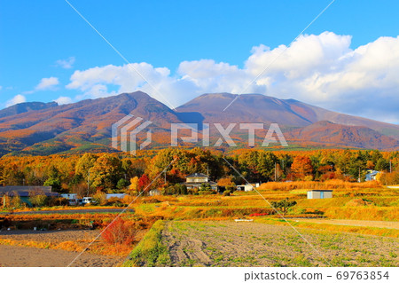 秋葉和淺間山2009年:信州的秋葉2009年:花草編織的彩色紙2009年 秋葉和淺間山2009年:信州的秋葉2009年:花草編織的彩色紙2009年 69763854