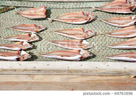 Manufacture of dried horse mackerel by sun-drying Manufacture of dried horse mackerel by sun-drying 69763896