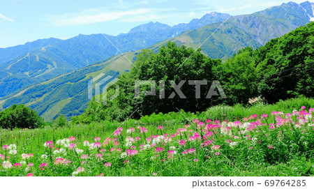 美麗的北阿爾卑斯山，2009年部分：白馬村和北阿爾卑斯山，2009年8月，北阿爾卑斯山和秋葉 69764285